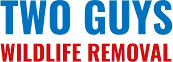 Two Guys Wildlife Removal